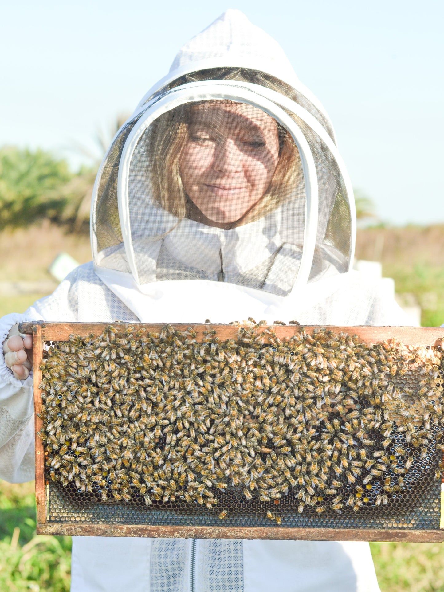Soft + Gentle Buttermilk Soap Made for Sensitive Skin Fragrance Free Handmade Tallow and Goat Milk Soap Bar